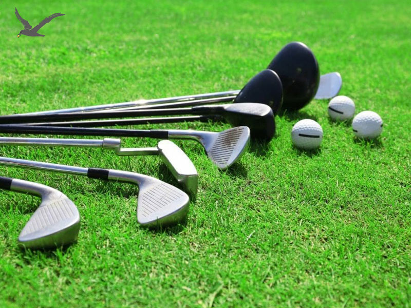 Cómo elegir los juegos de palos de golf adecuados para sus consumidores