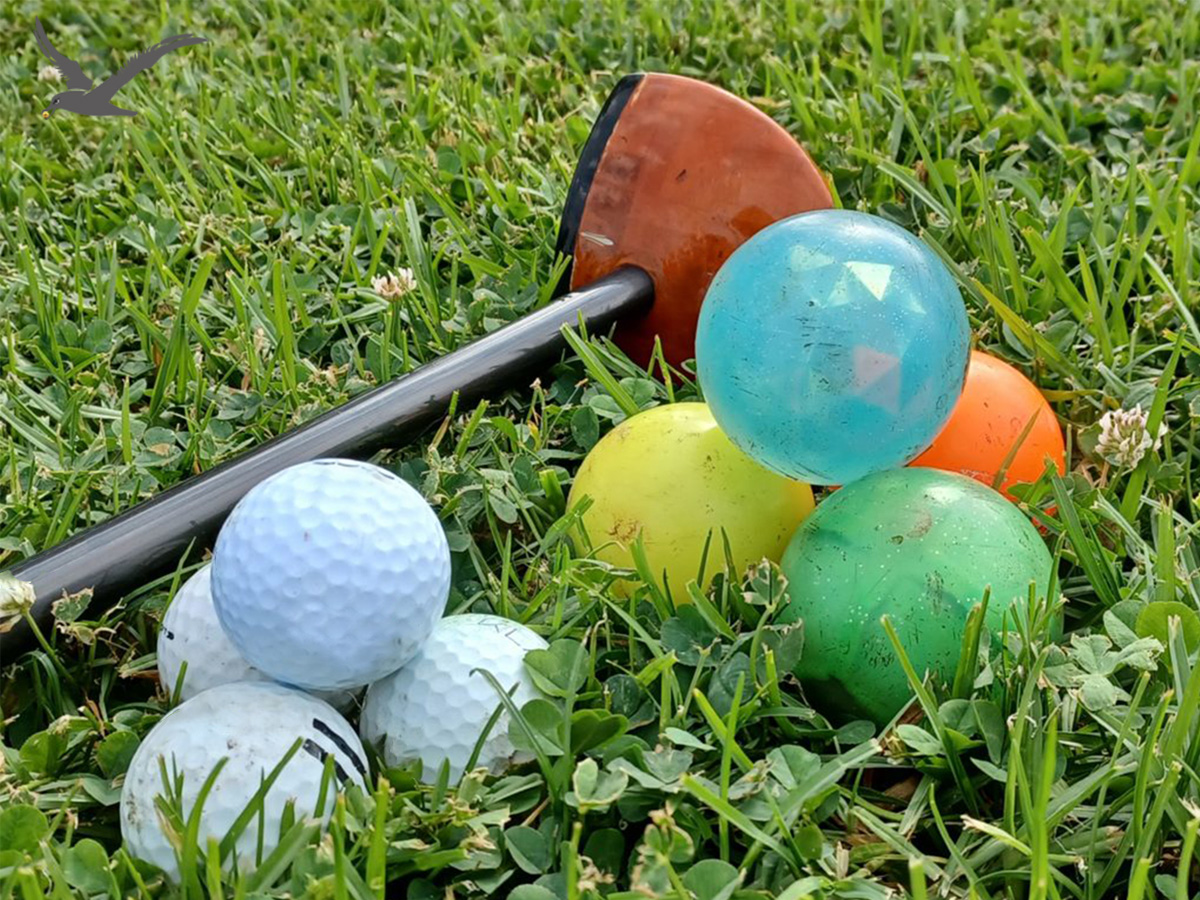 Diversidad de pelotas de golf de parque