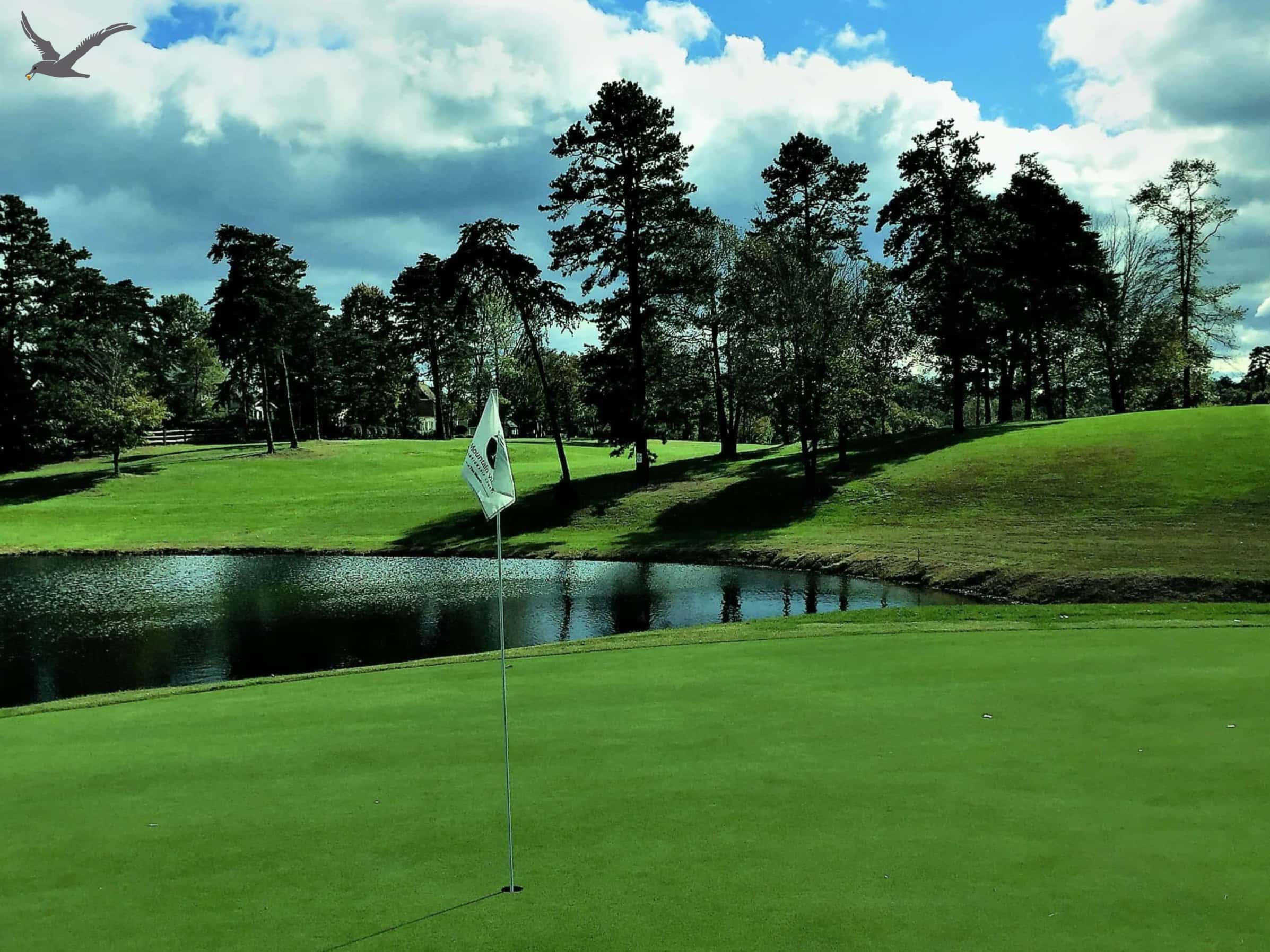 Los deportes Albatros: 10 datos importantes para conocer el golf (Parte 1)